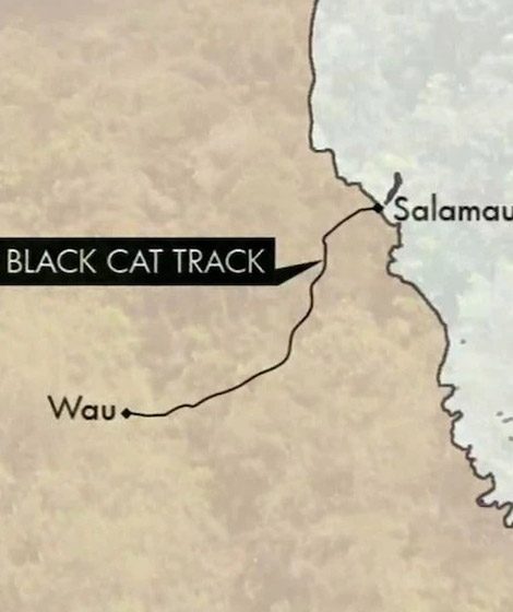 Black Cat Trek PNG