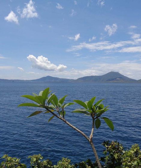 Rabaul Non-Trekking Tour With Tol Plantation Extension