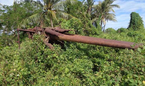 Ss Rabaul Rabaul Tours - Non-Trekking PNG Tour with Tol Plantation